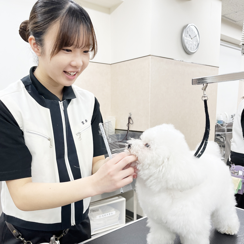 ２年生のトリミング実習♪